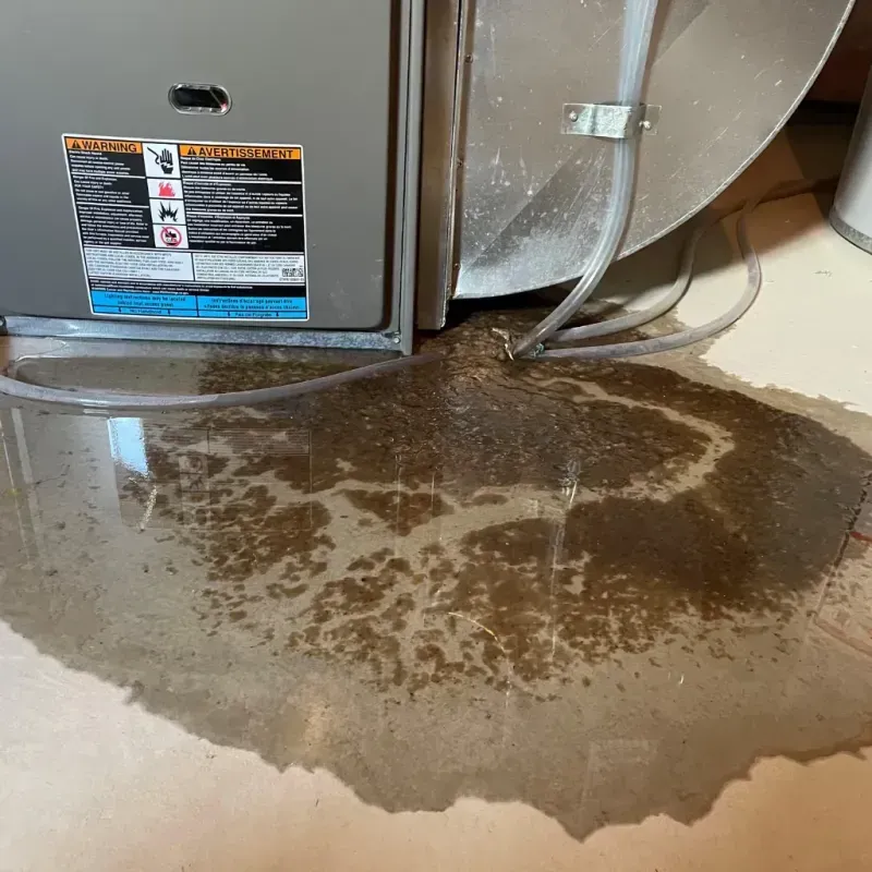 Appliance Leak Cleanup in Plainsboro Center, NJ